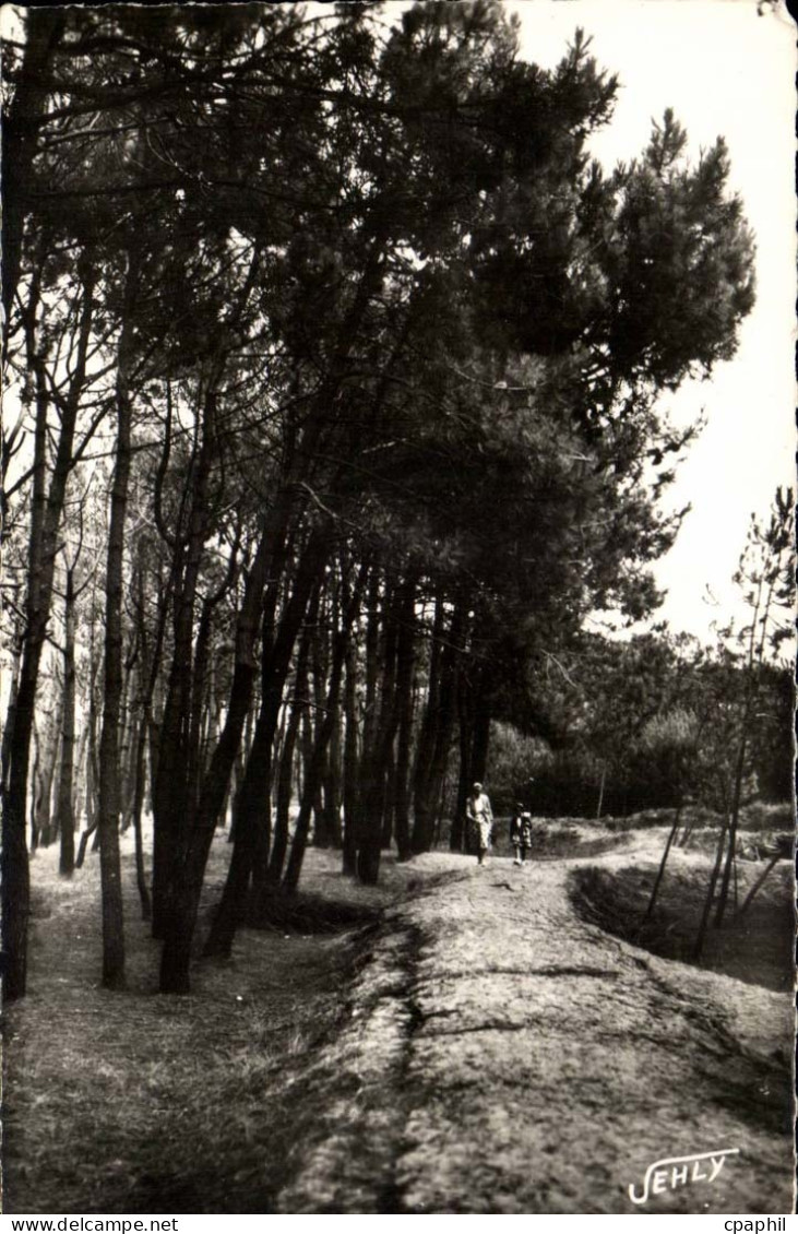Bretignolles sur Mer - La Foret des Dunes - CPA