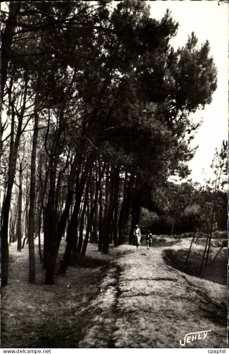 Bretignolles sur Mer - La Foret des Dunes - CPA