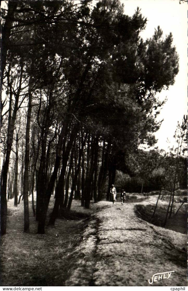 Bretignolles sur Mer - La Foret des Dunes - CPA