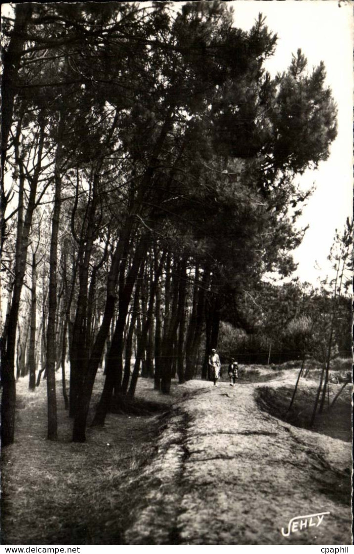 Bretignolles sur Mer - La Foret des Dunes - CPA