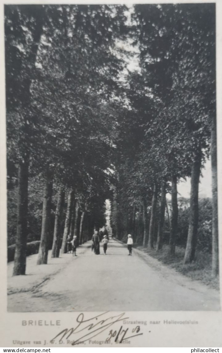Brielle (ZH) Straatweg naar Hellevoetsluis ca 1900