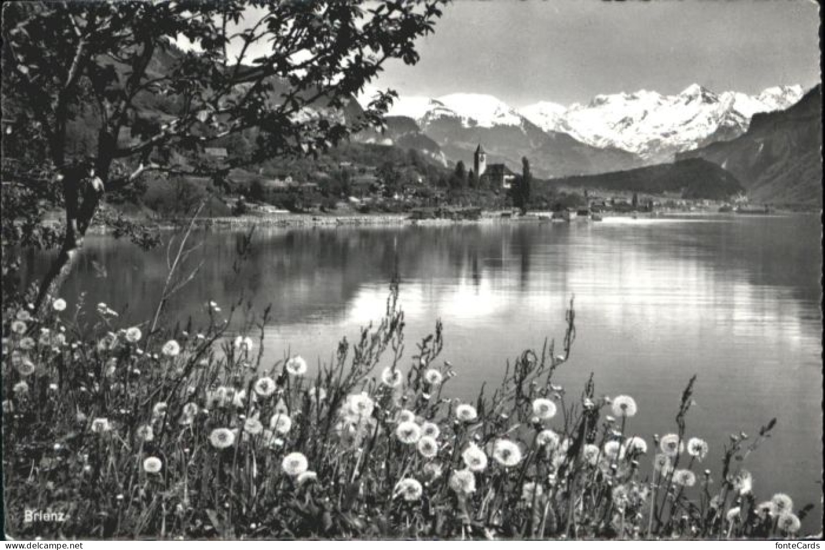 Brienz BE Brienz