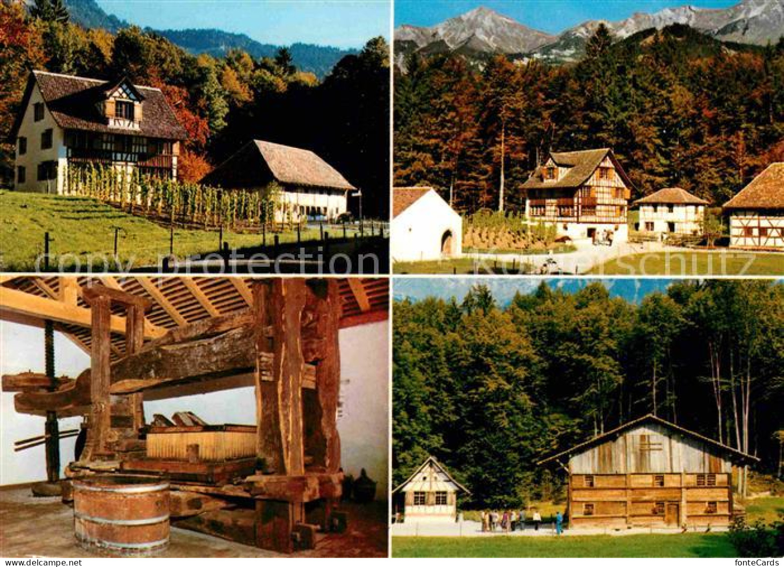 Brienz BE Freilichtmuseum Ballenberg Rebbauernhaus Wila-Haus