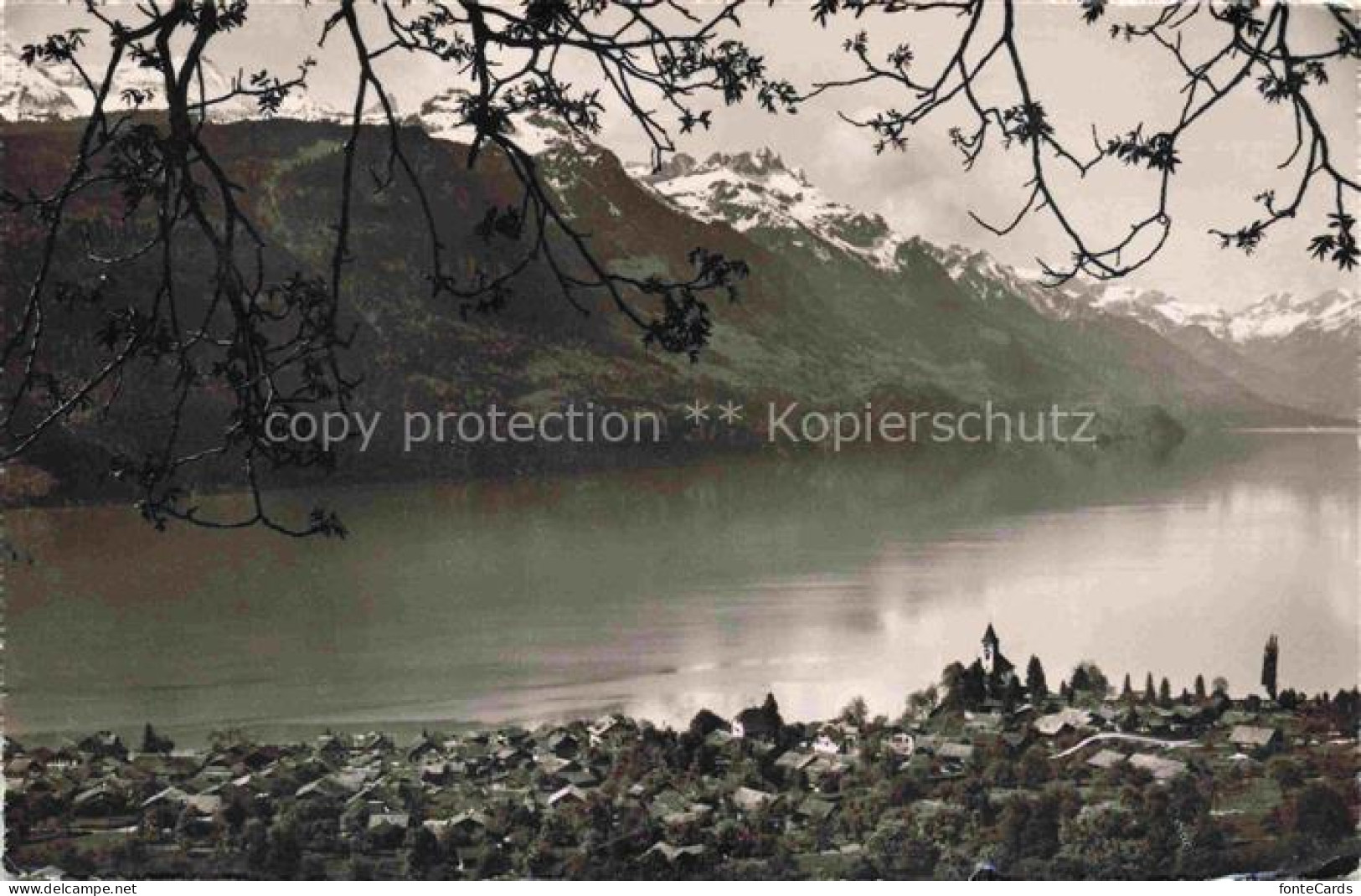 Brienz Brienzersee BE Brienzersee See Alpen Berge Ortschaft Kirche Baeume Schnee