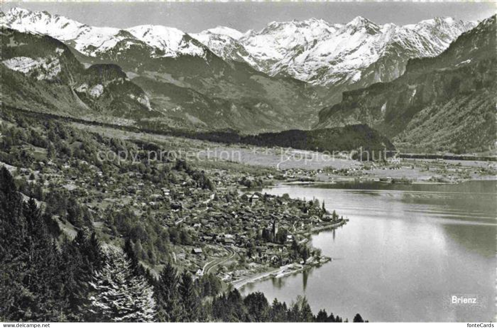 Brienz Brienzersee BE Brienzersee See Dorf Berge Schnee Wald Vogelperspektive