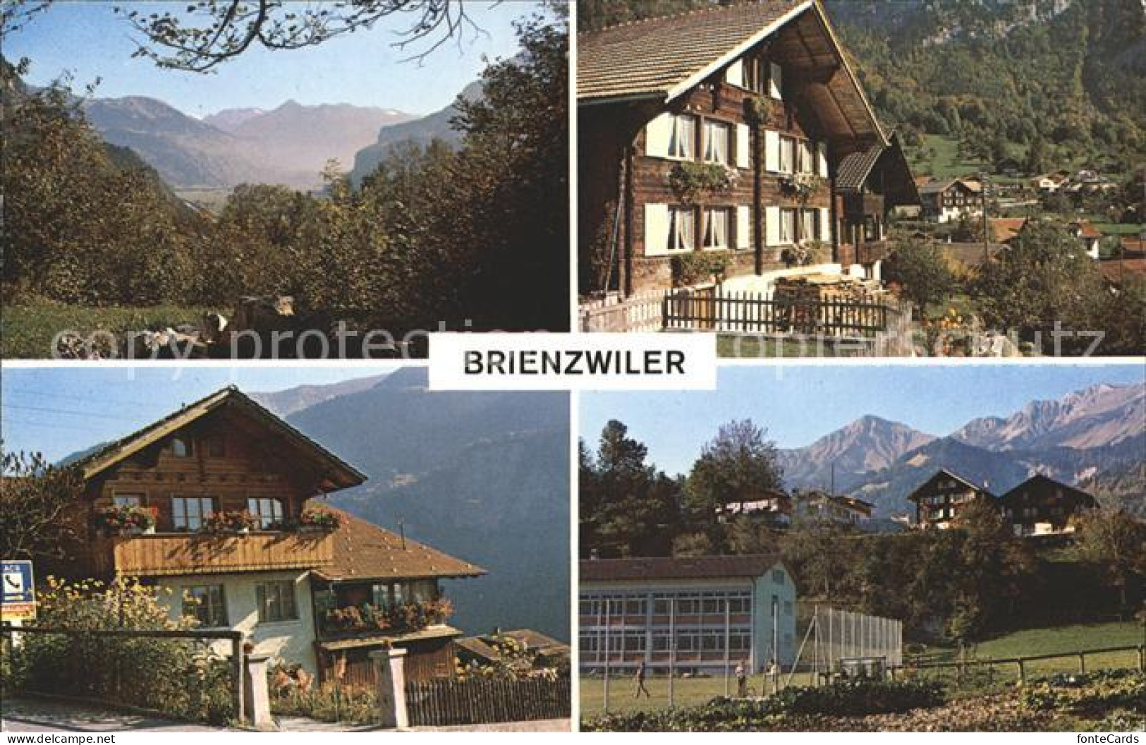 Brienzwiler