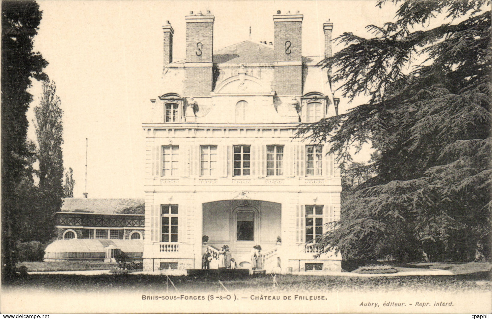 Briis sous Forges CPA Chateau de Frileuse