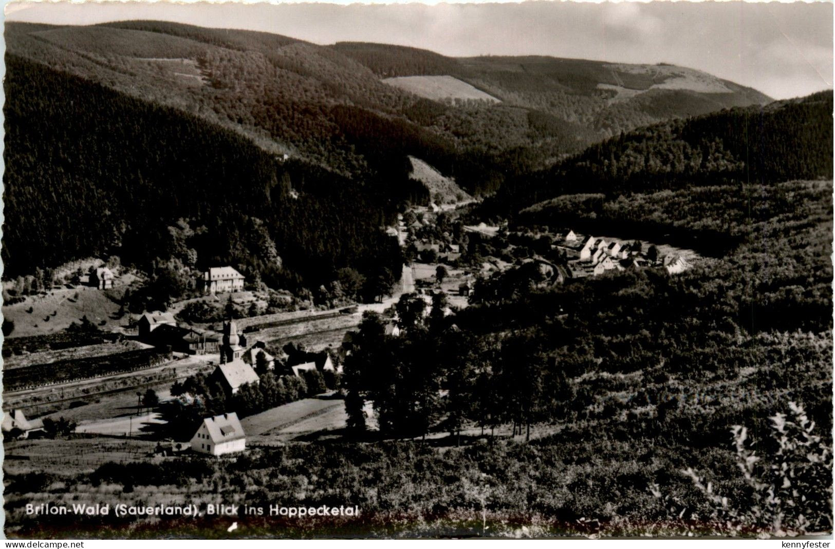 Brilon Wald