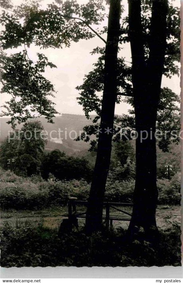 Brilon-Wald Teilansicht