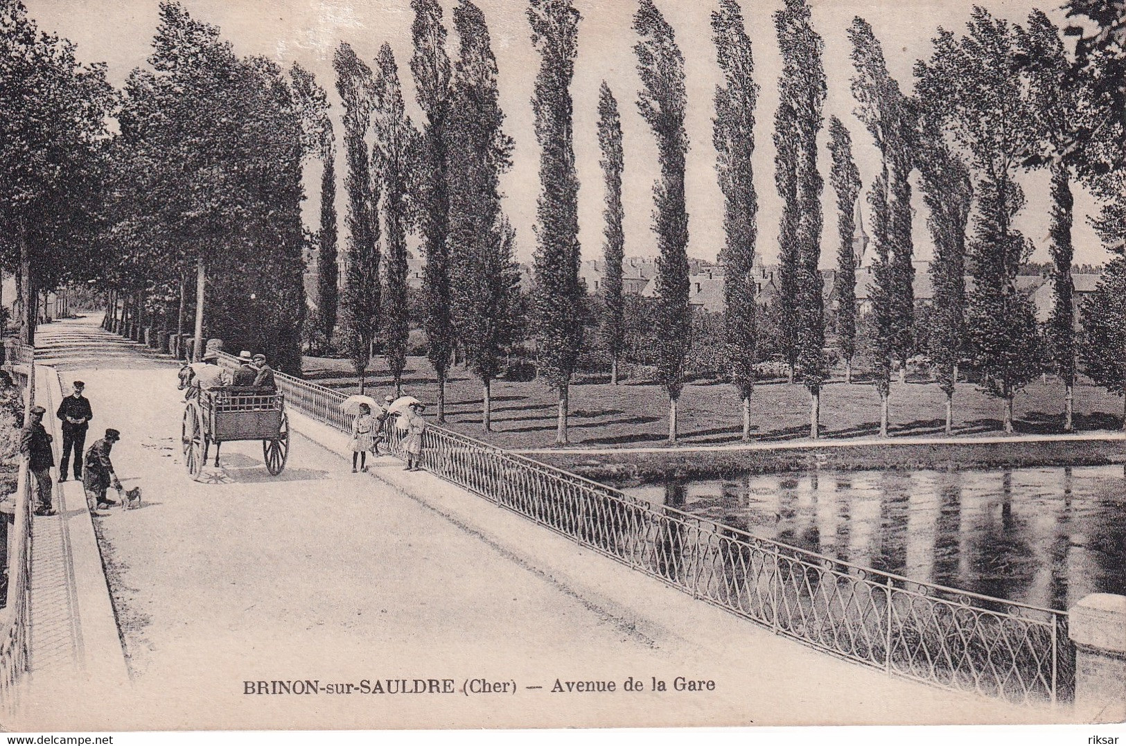 BRINON SUR SAULDRE(ARBRE)