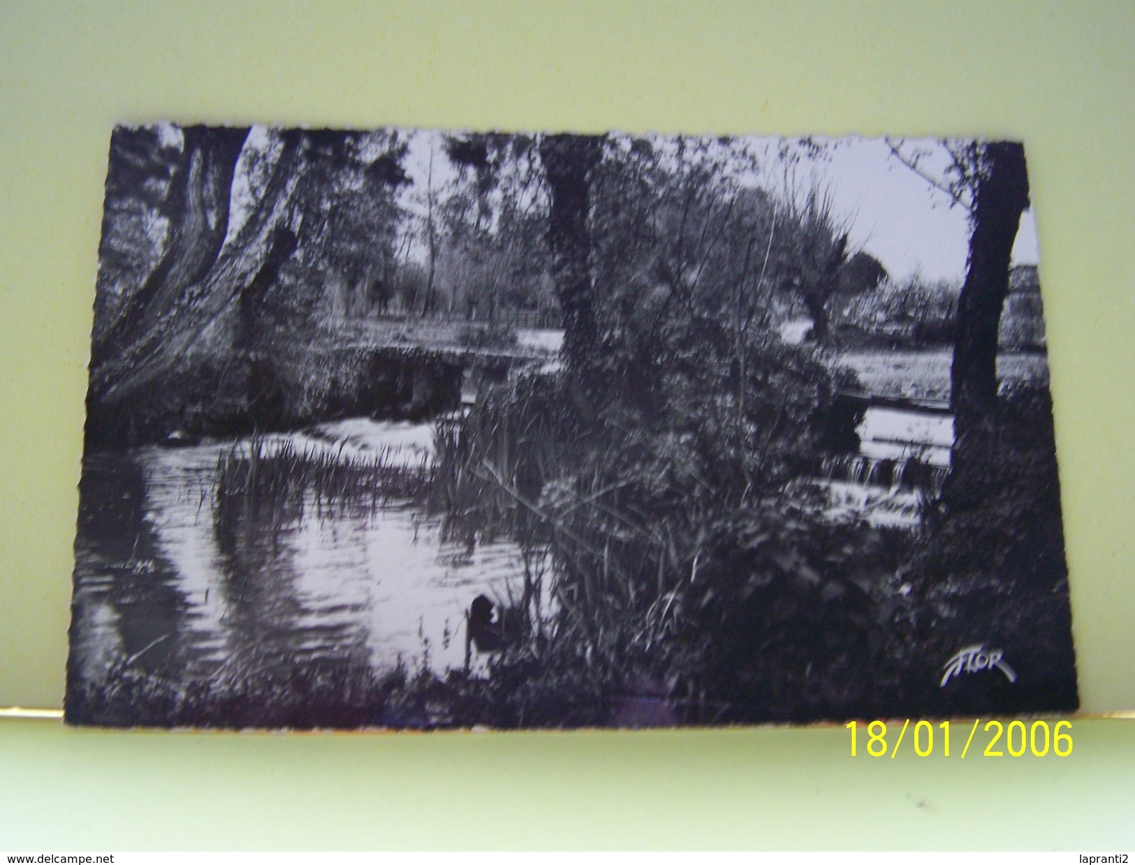 BRIOUX-SUR-BOUTONNE (DEUX-SEVRES) LA BOUTONNE AU GRAND MOULIN