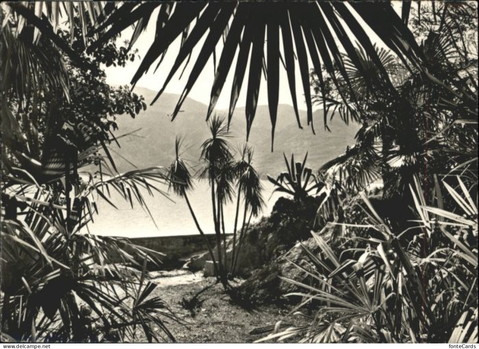 Brissago TI Brissago