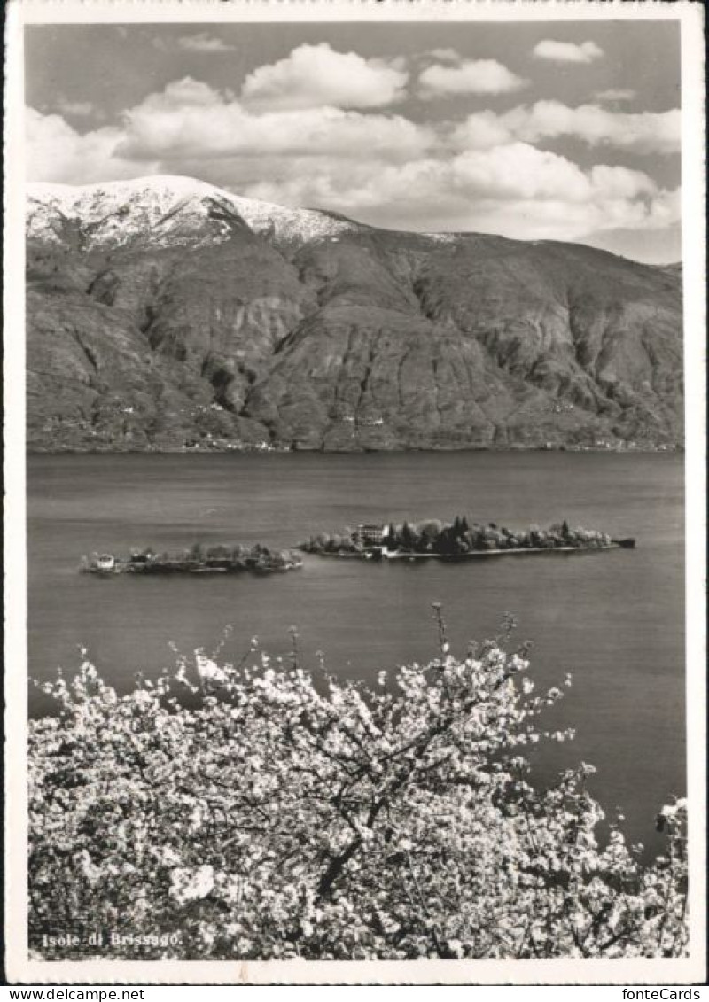 Brissago TI Brissago Parco Botanico