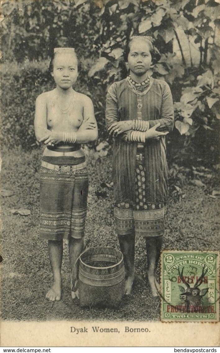 british north borneo, SABAH, Native Dayak Women (1909) Postcard