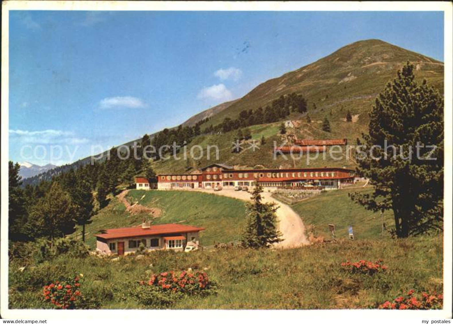 Brixen Suedtirol Hotel Kreuztal Plose Dolomiten