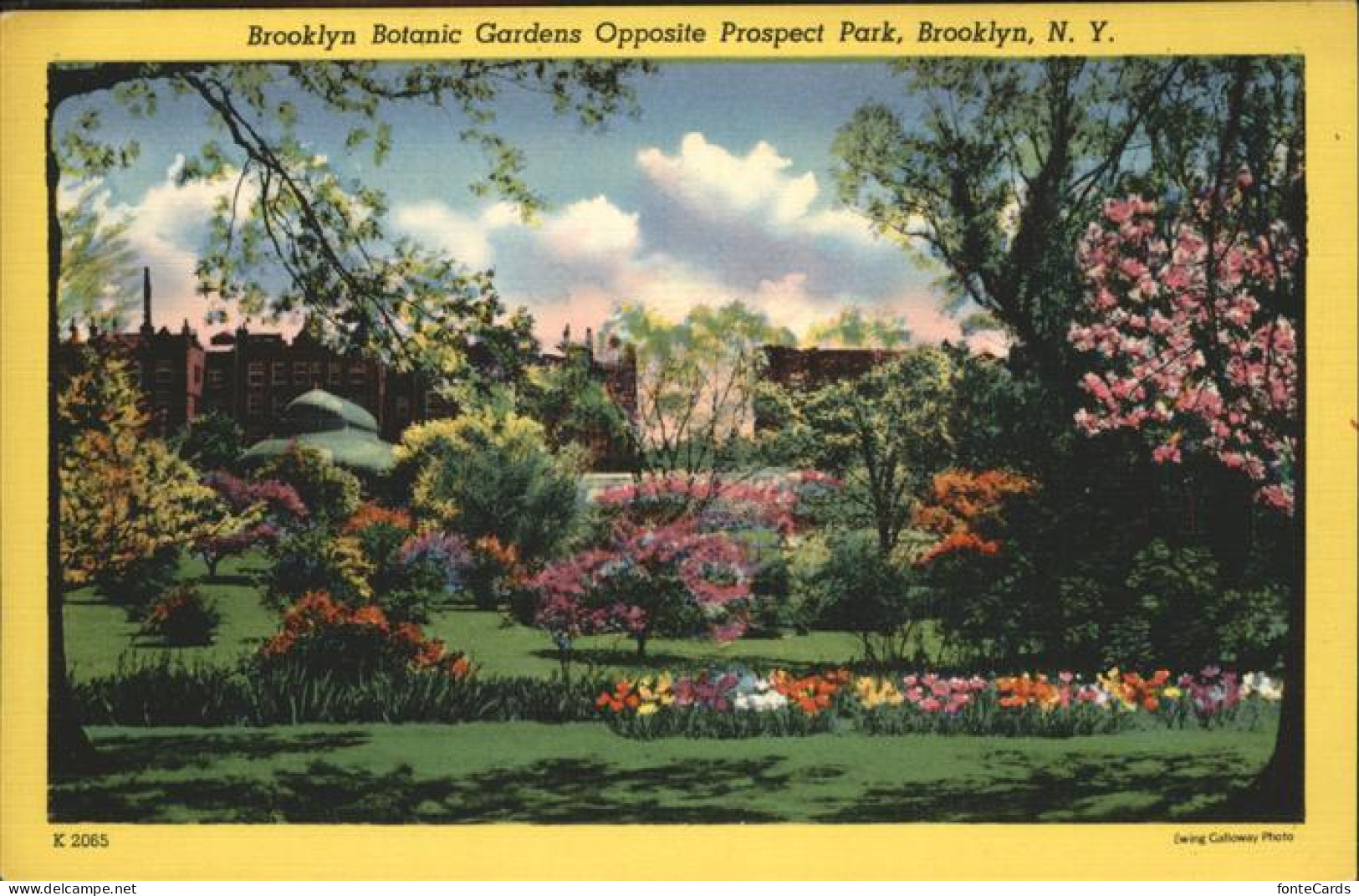 Brooklyn New York Botanic Gardens Prospect Park