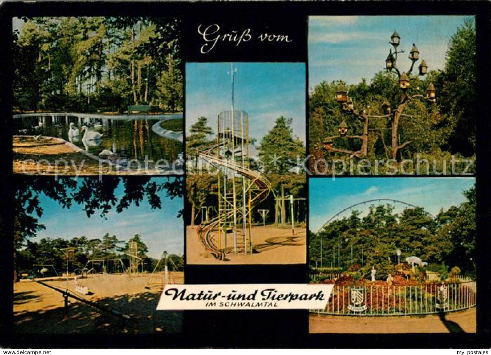 Brueggen Niederrhein Natur-Tierpark Schwalmtal