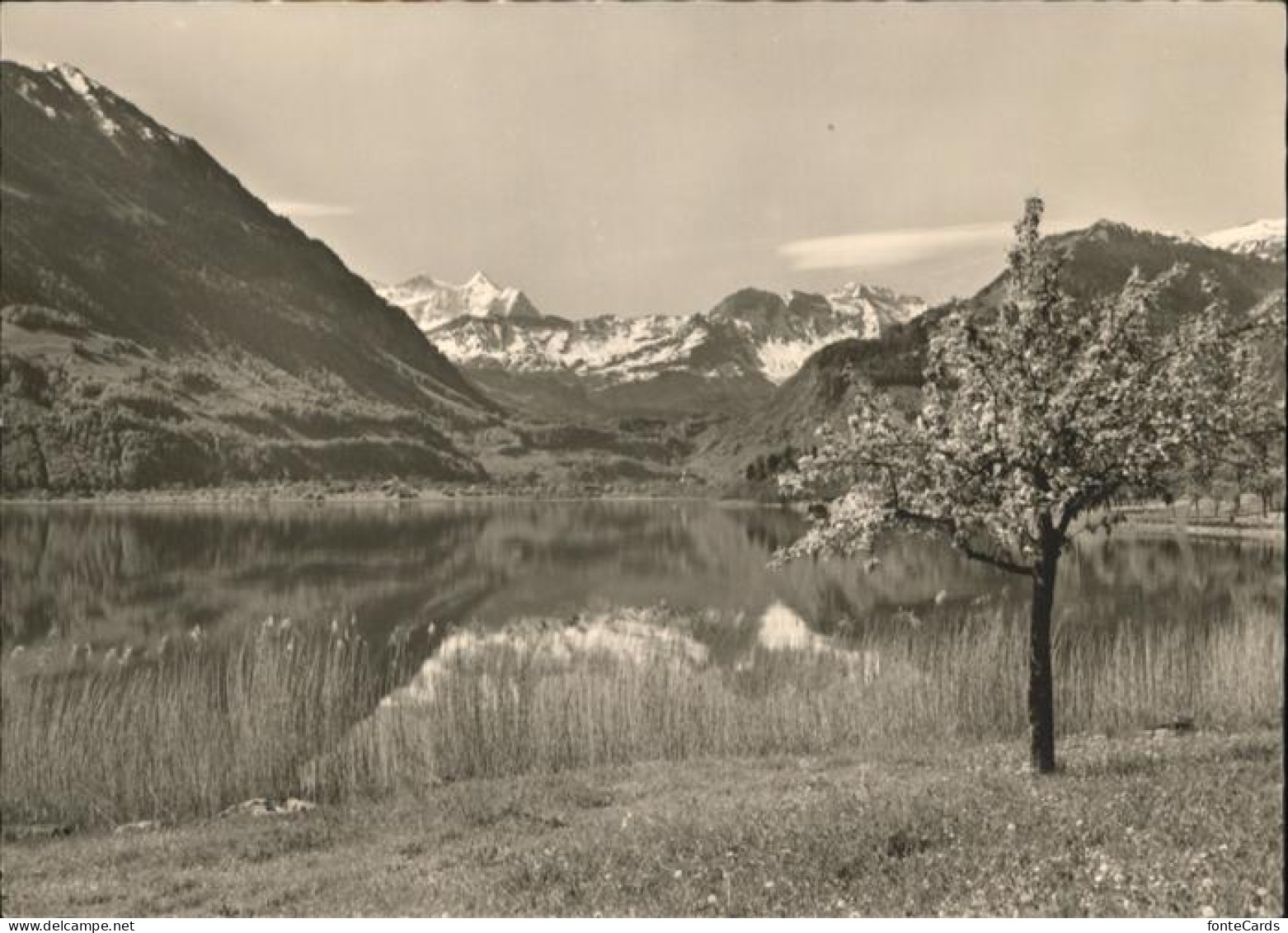 Bruenig BE Sarnersee