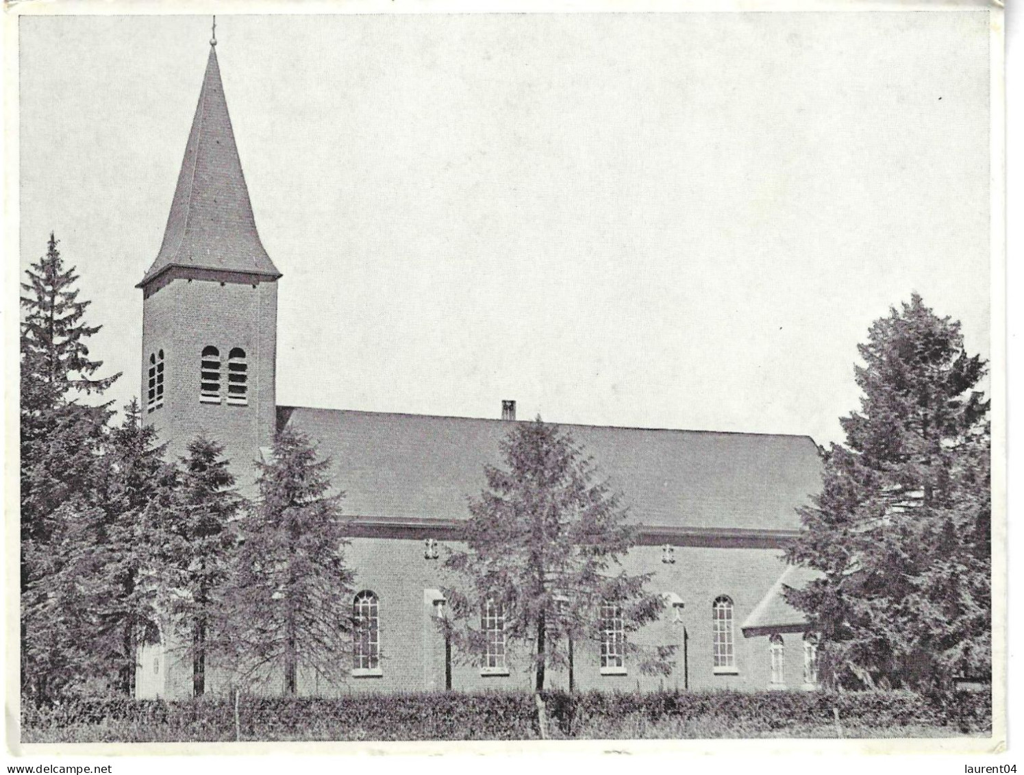 BRUGELETTE. CAMBRON CASTEAU. BRUYERES
