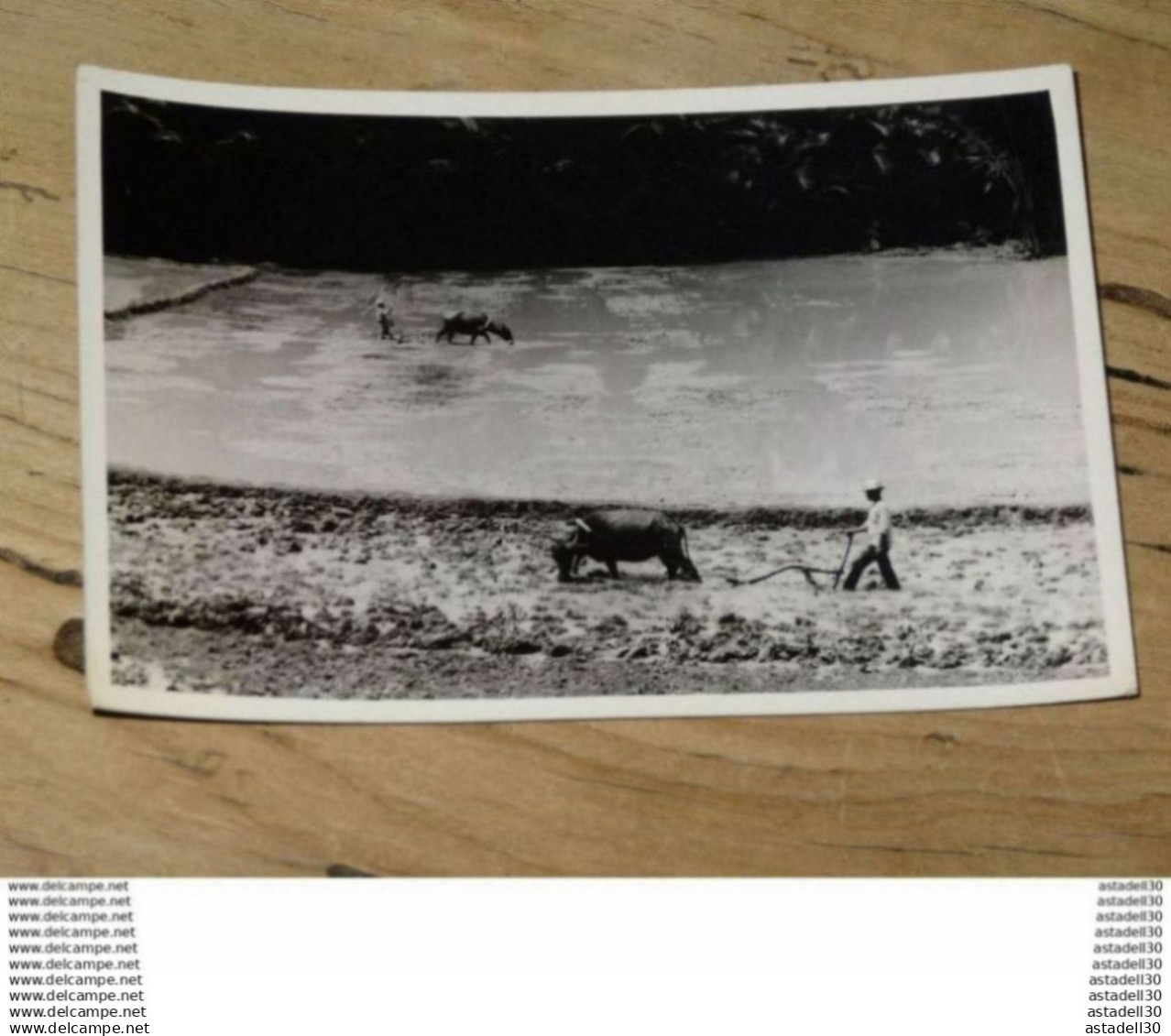 BRUNEI  ............ 1400