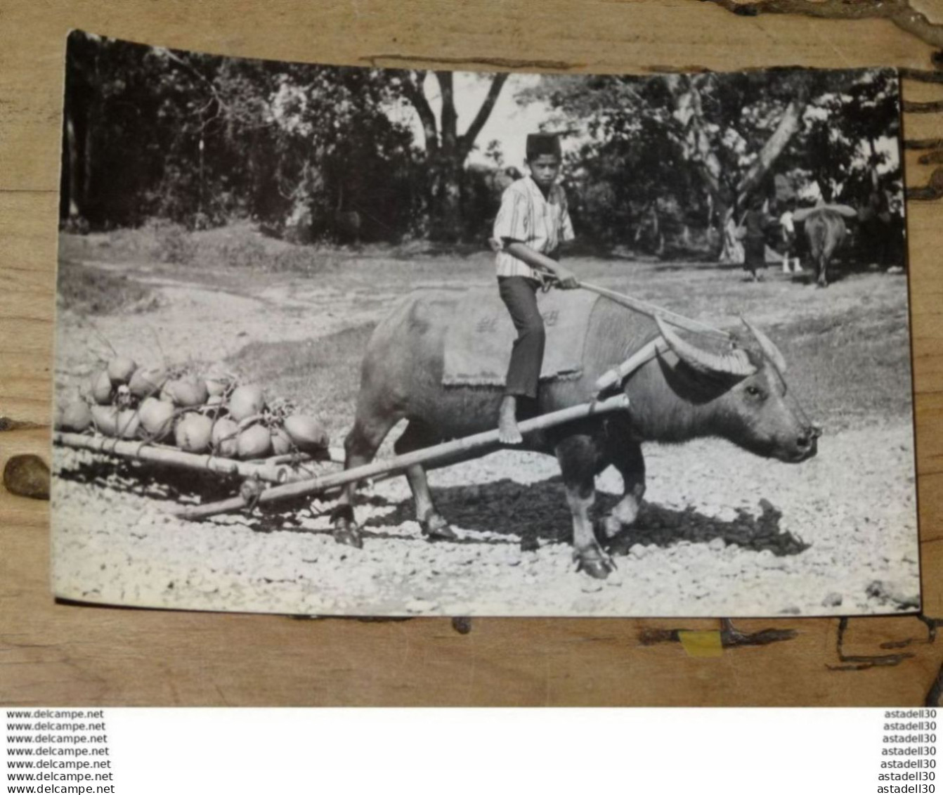 BRUNEI  ............ 1401