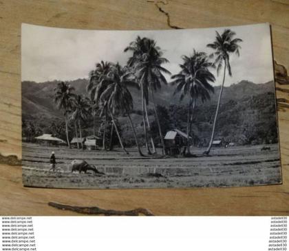 BRUNEI  ............ 1399