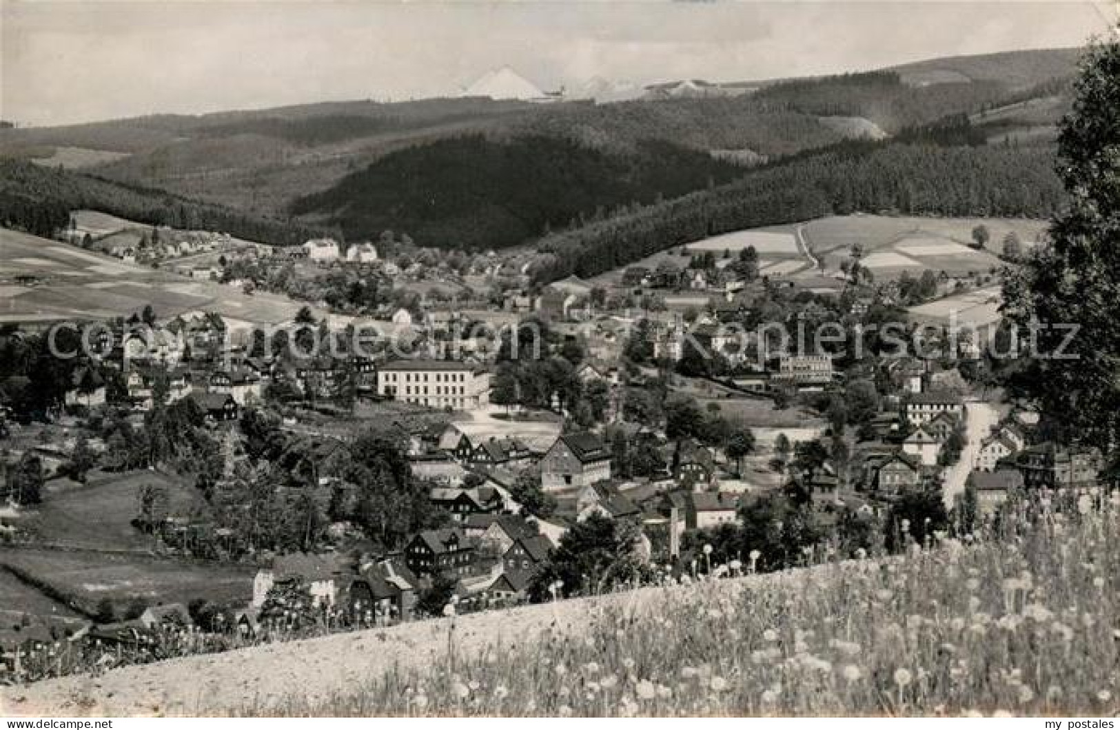 Brunndoebra Klingenthal
