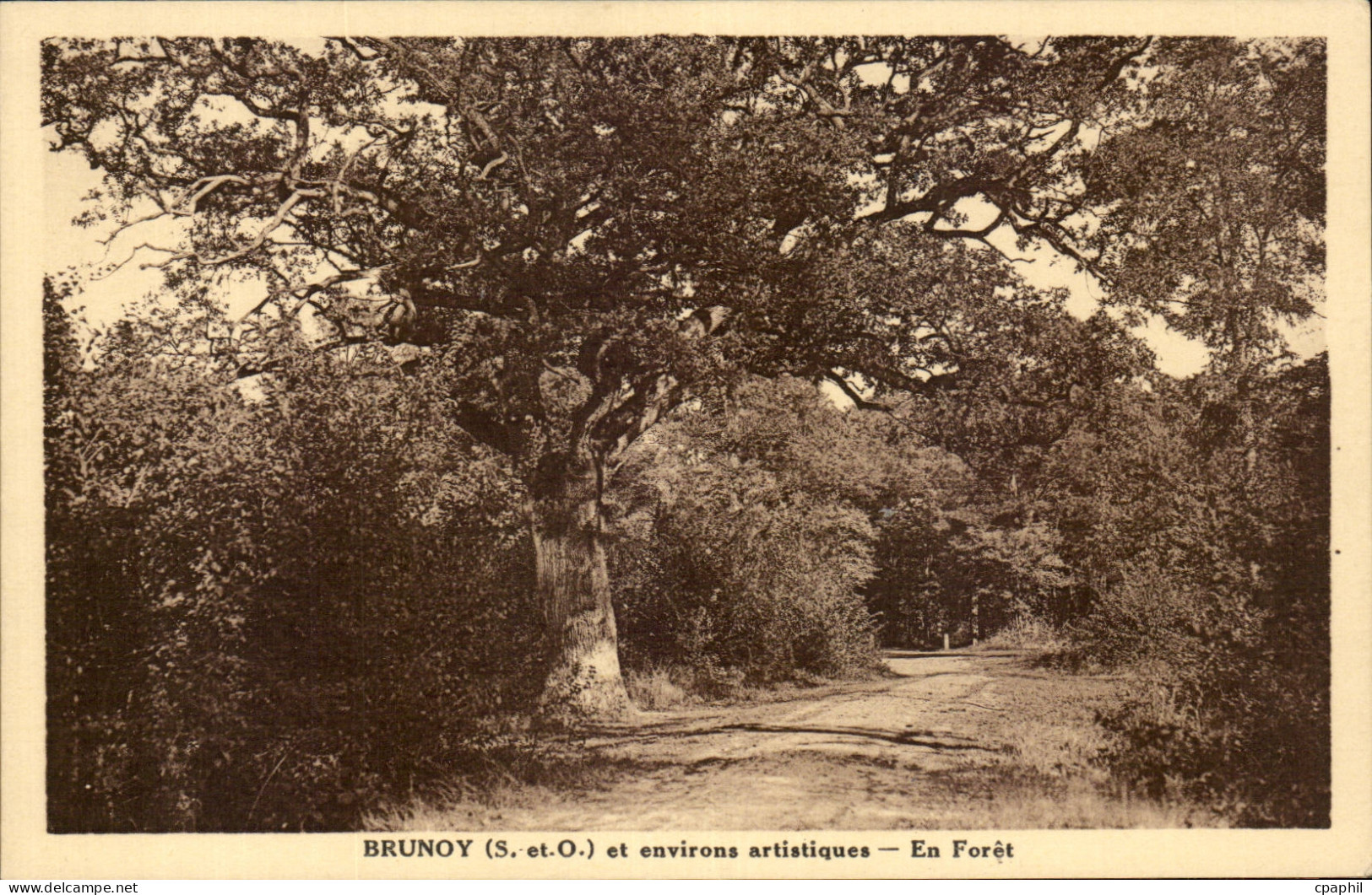 Brunoy - en Foret - environs artistiques - CPA
