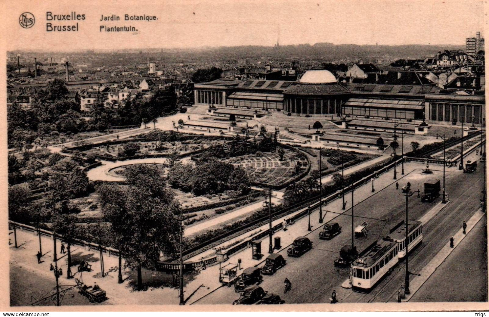 Brussel - Plantentuin