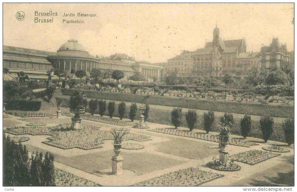 BRUXELLES - Jardin Botanique