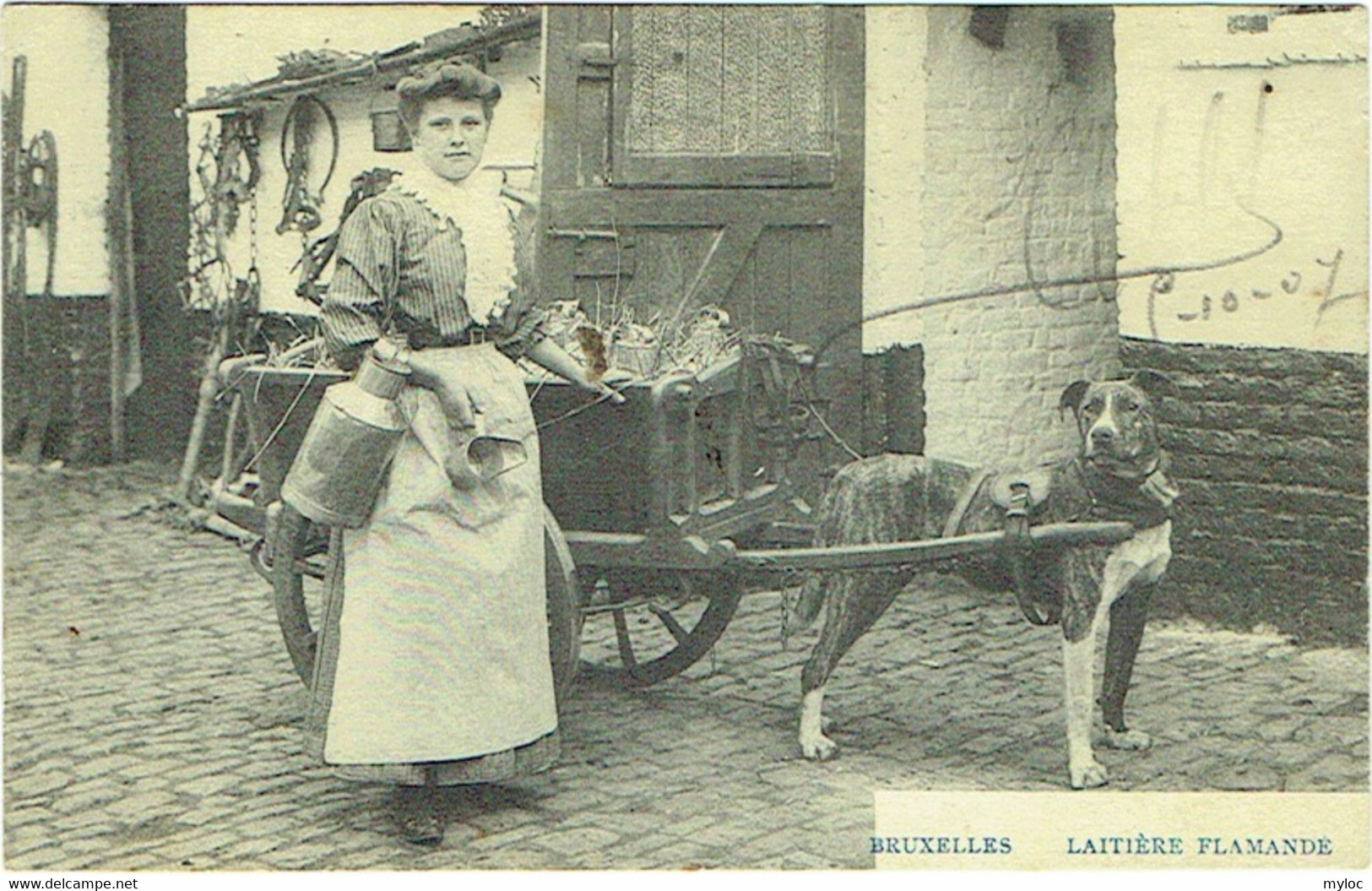 Bruxelles. Laitière Flamande.