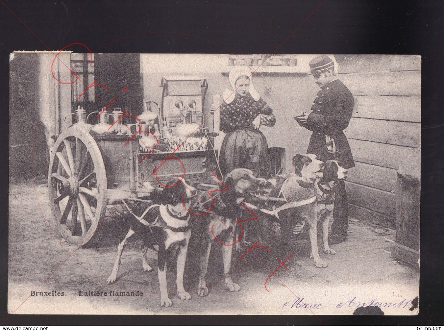 Bruxelles - Laitière flamande - Attelage de chiens - postkaart