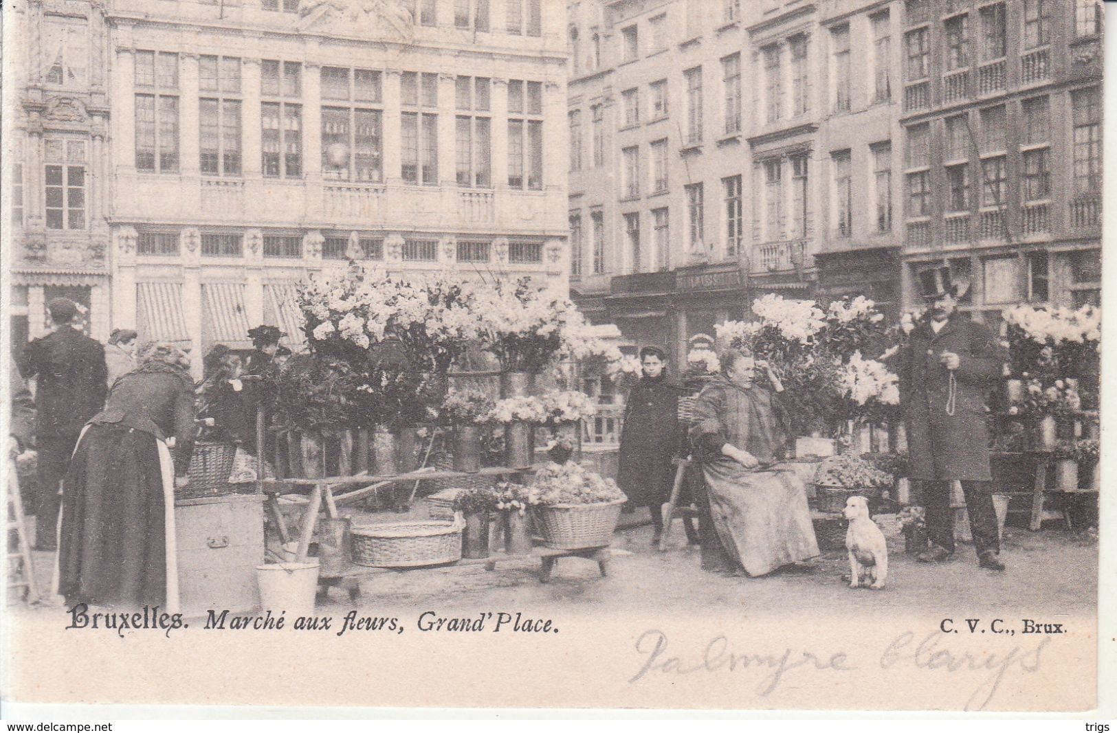 Bruxelles - Marché aux Fleurs, Grand'Place