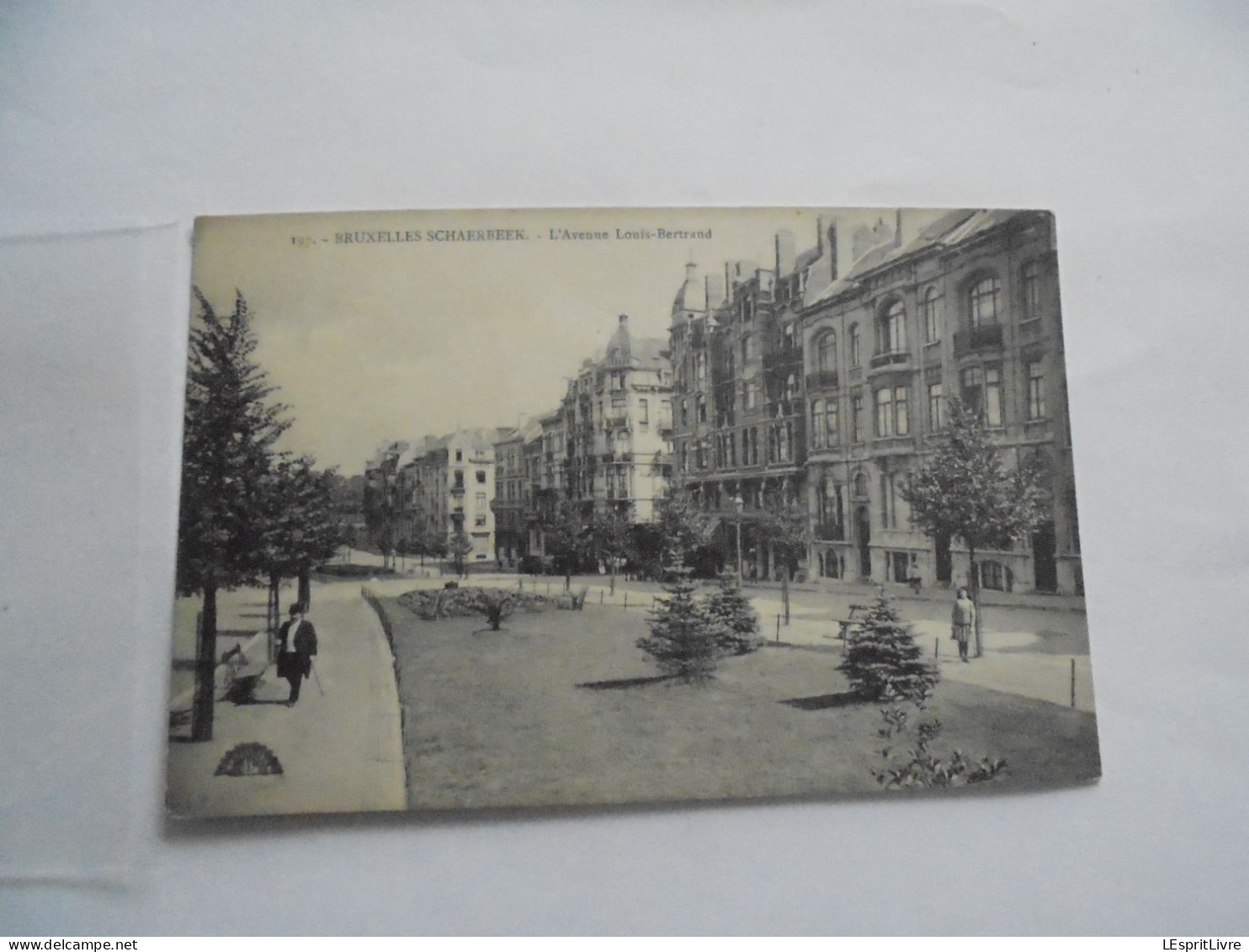 Bruxelles SCHAARBEEK SCHAERBEEK  L'Avenue Louis Bertrand Animée Carte Postale Postcard