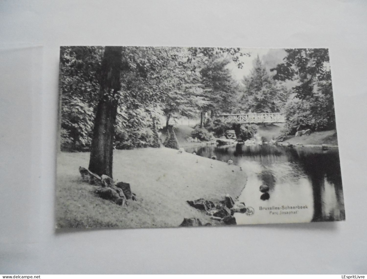 Bruxelles SCHAARBEEK SCHAERBEEK Parc Josaphat Carte Postale Postcard