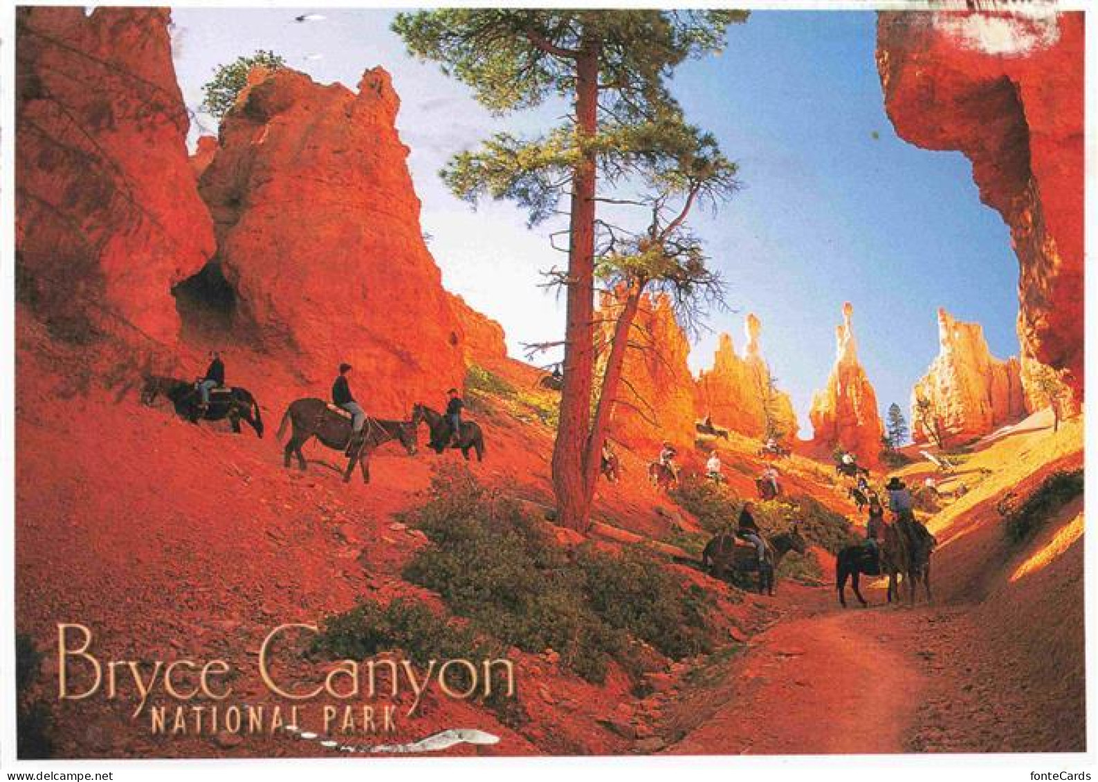 Bryce Canyon National Park Horses and mules take visitors into the Canyon