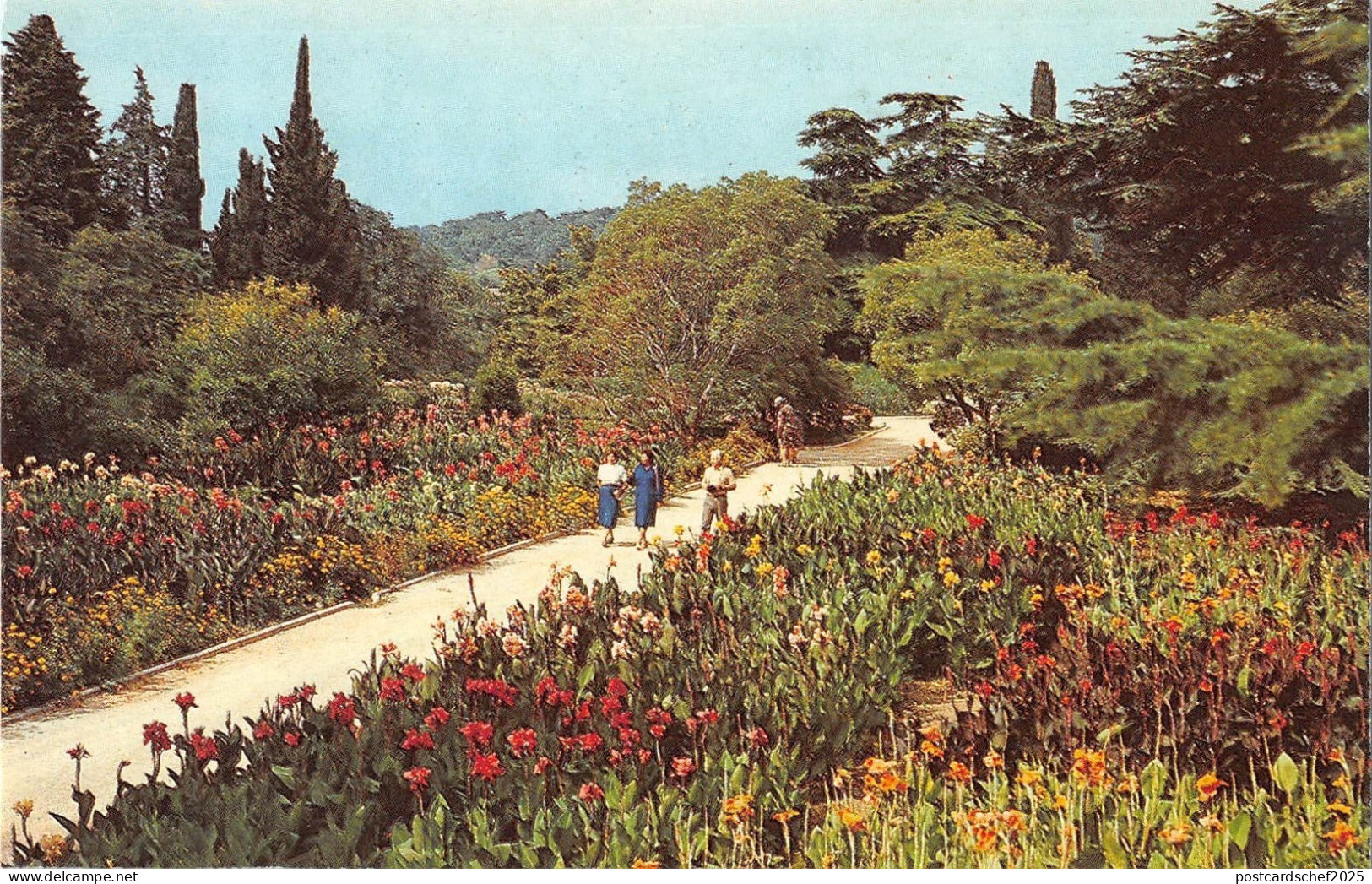 BT15665 Russia           Russia