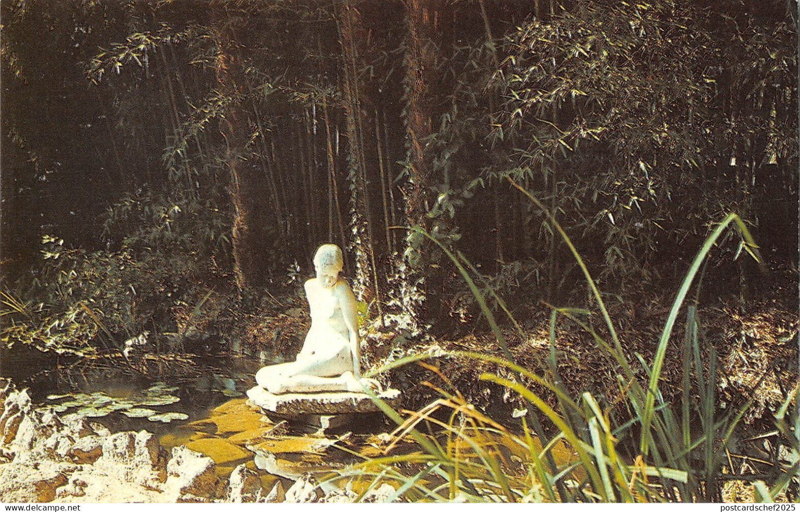 BT15667 Russia           Russia