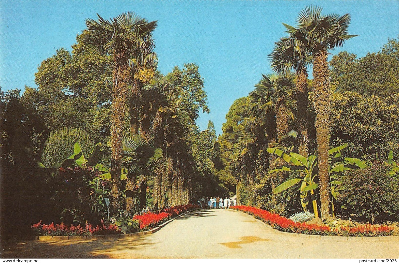 BT15671 Russia        Russia