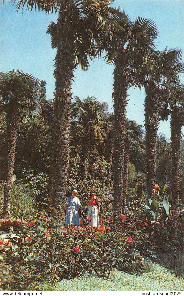 BT15672 Russia        Russia