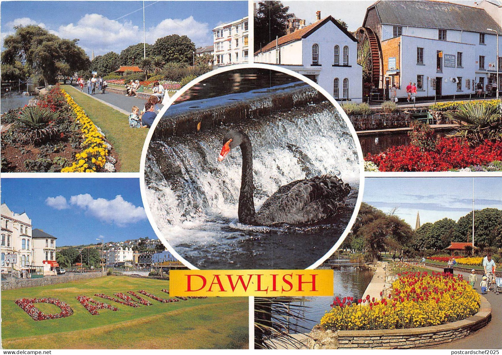 BT18329 dawlish devon    uk