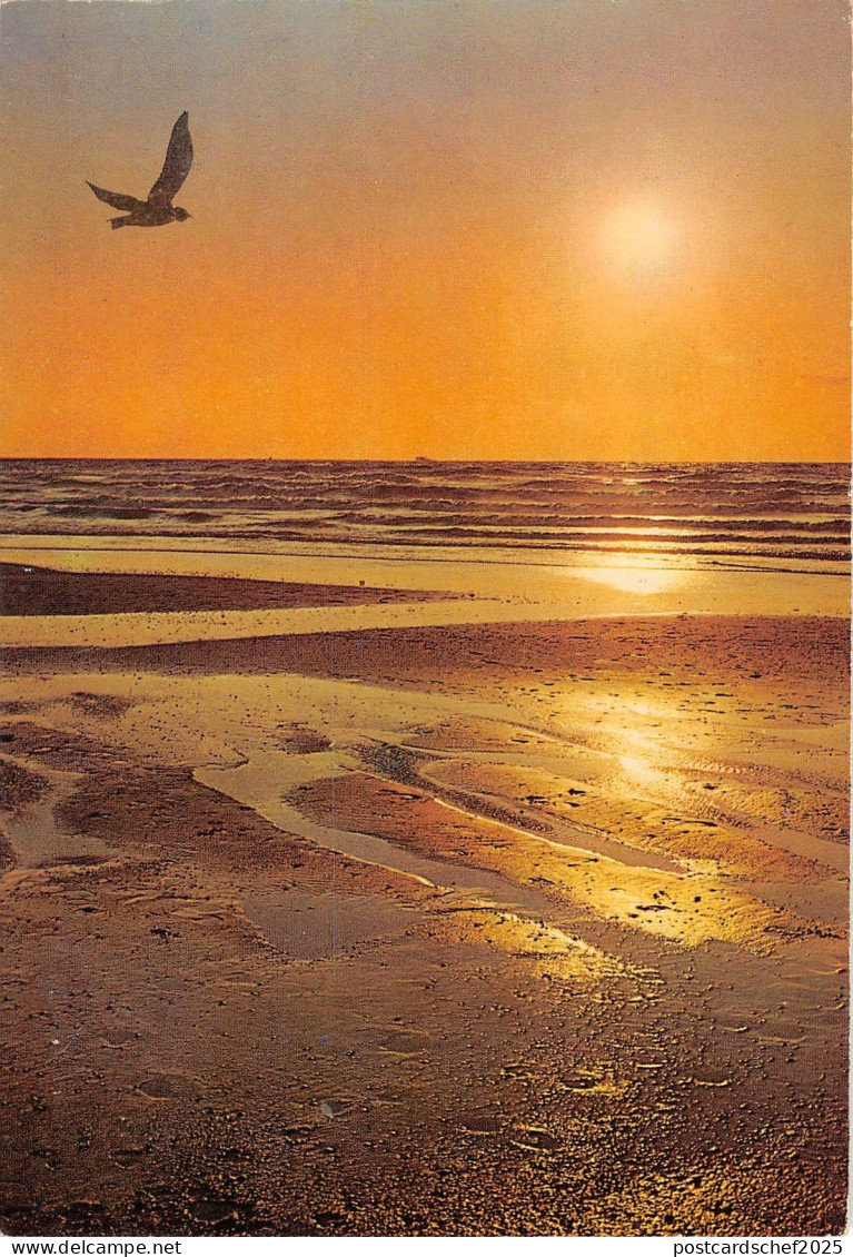 BT4679 Schoorl Netherlands