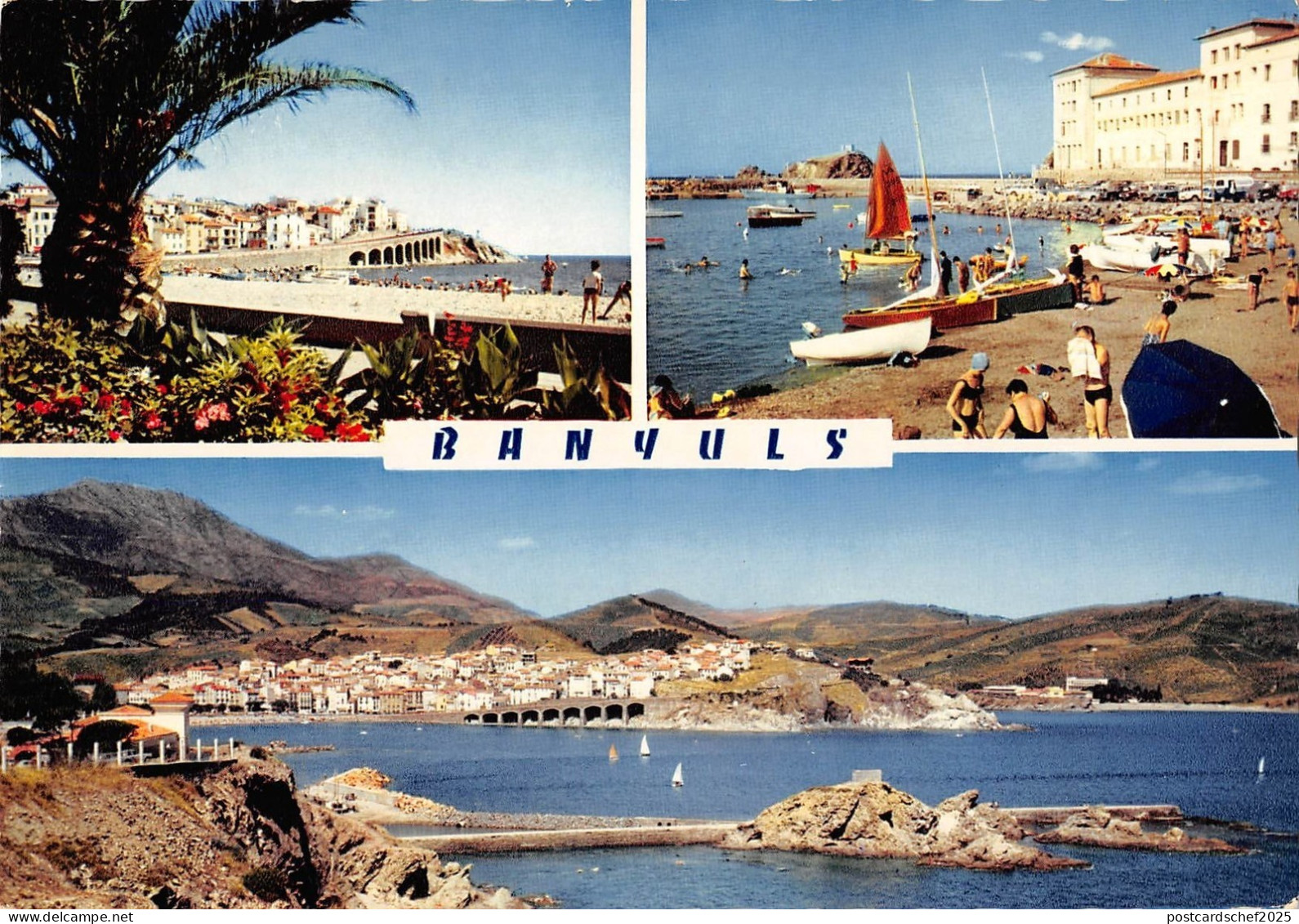 BT5084 Banyuls sur mer        France