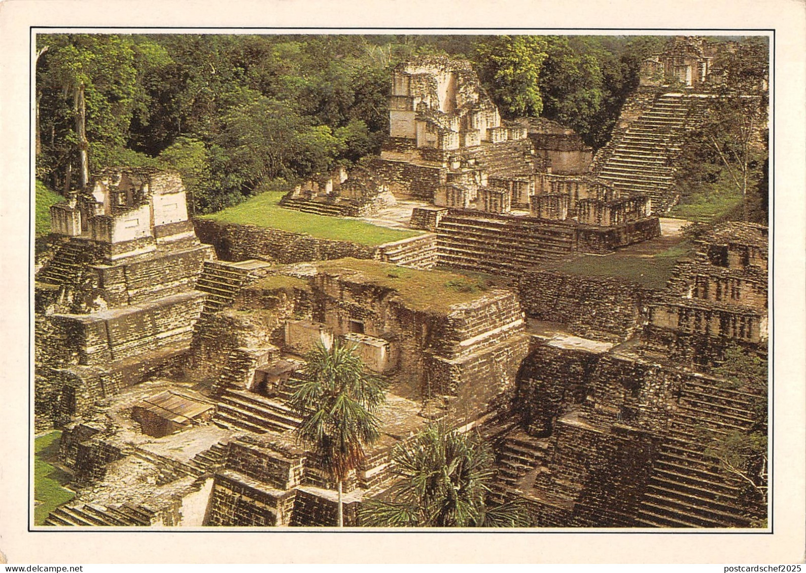 BT5934 Guatemala Tikal de oude metropolis van de maya    Guatemala