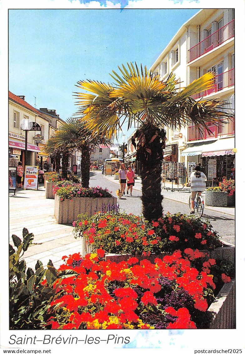 BT6638 Saint Brevin les Pins         France