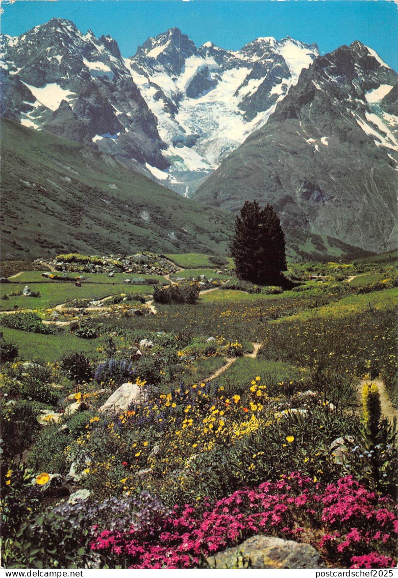 BT8194 Route de grenoble a Briancon le jardin alpin au col du lauta       France