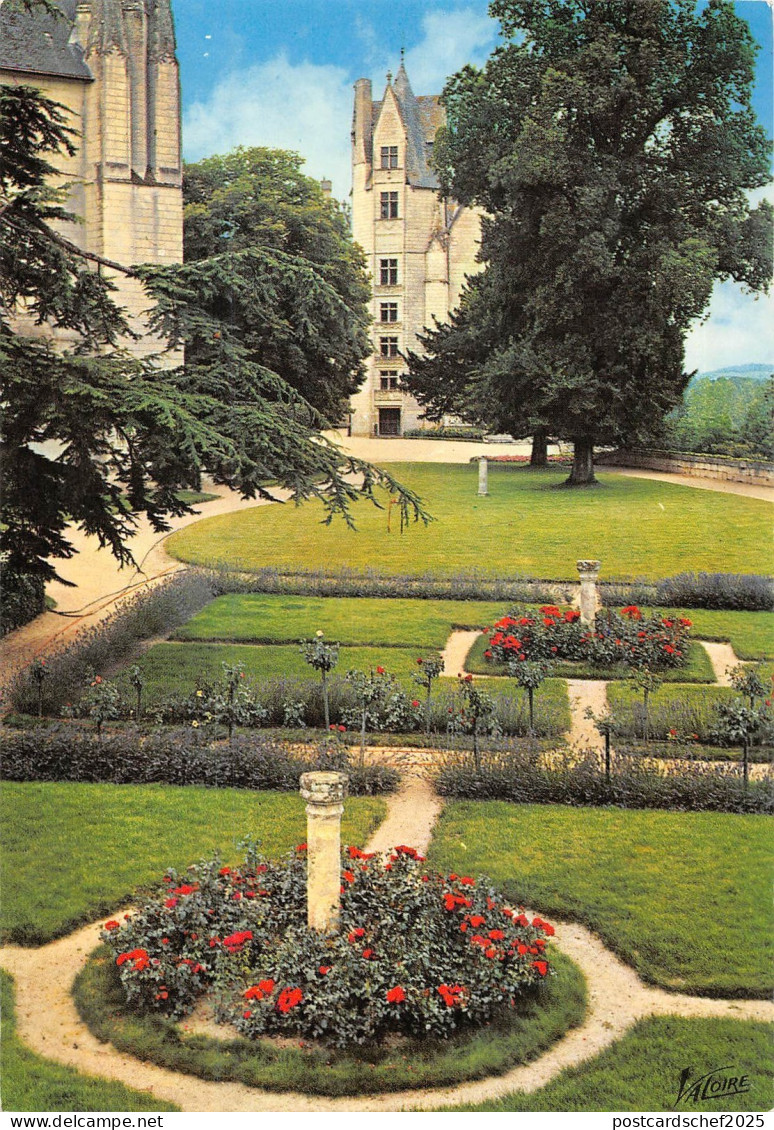 BT8645 Montreuil Bellay       France