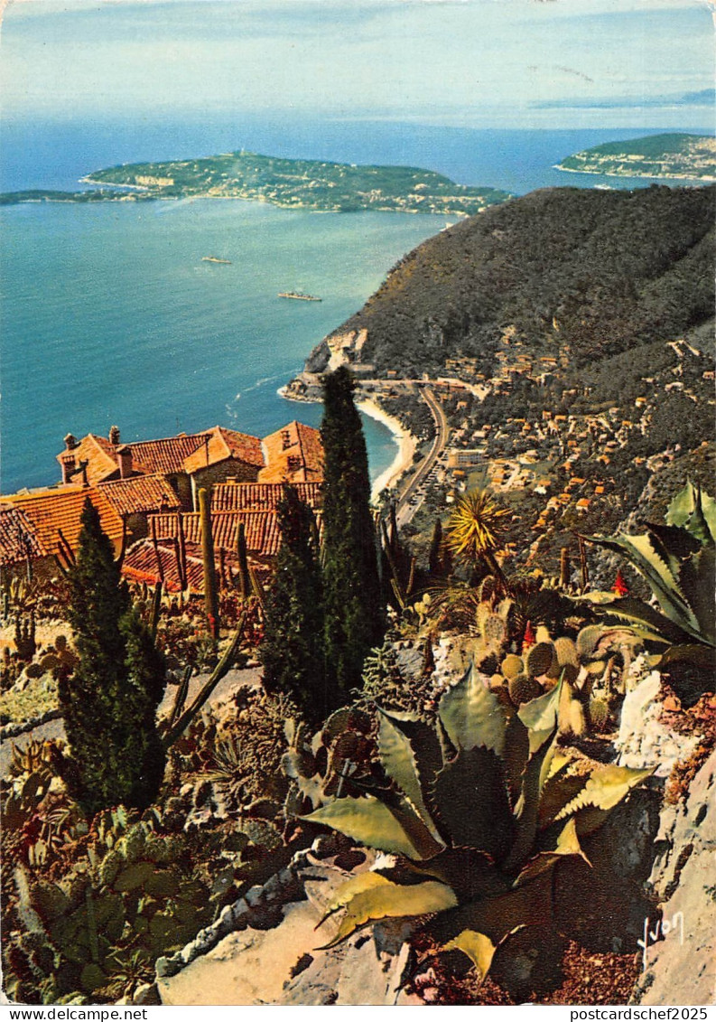 BT8839 Eze du jardin exotique       France