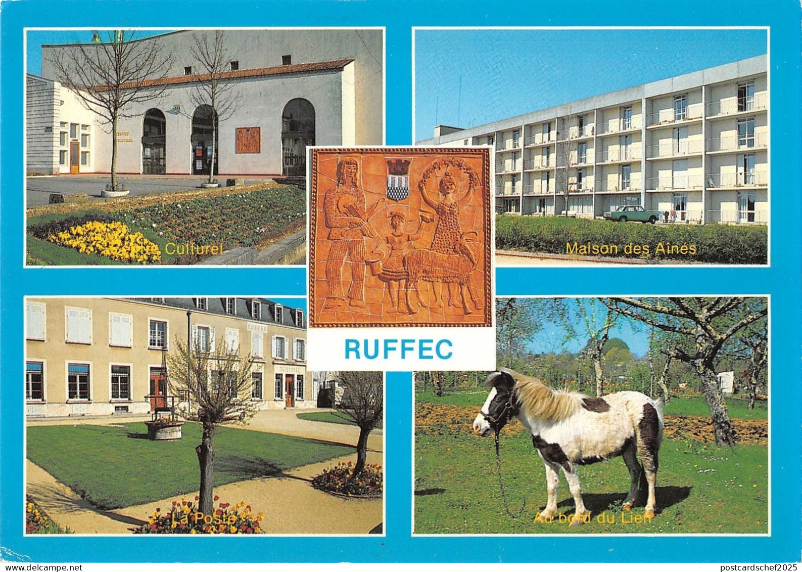 BT9487 Ruffec horse chevaux         France