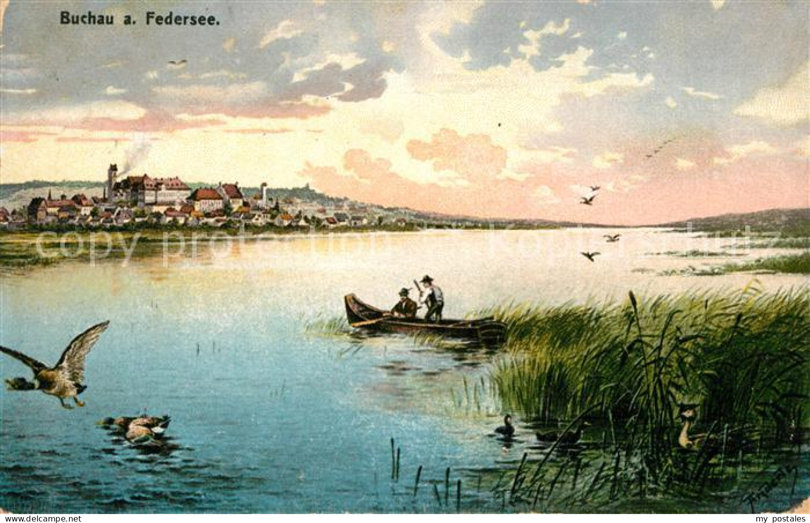 Buchau Federsee Bad Panorama